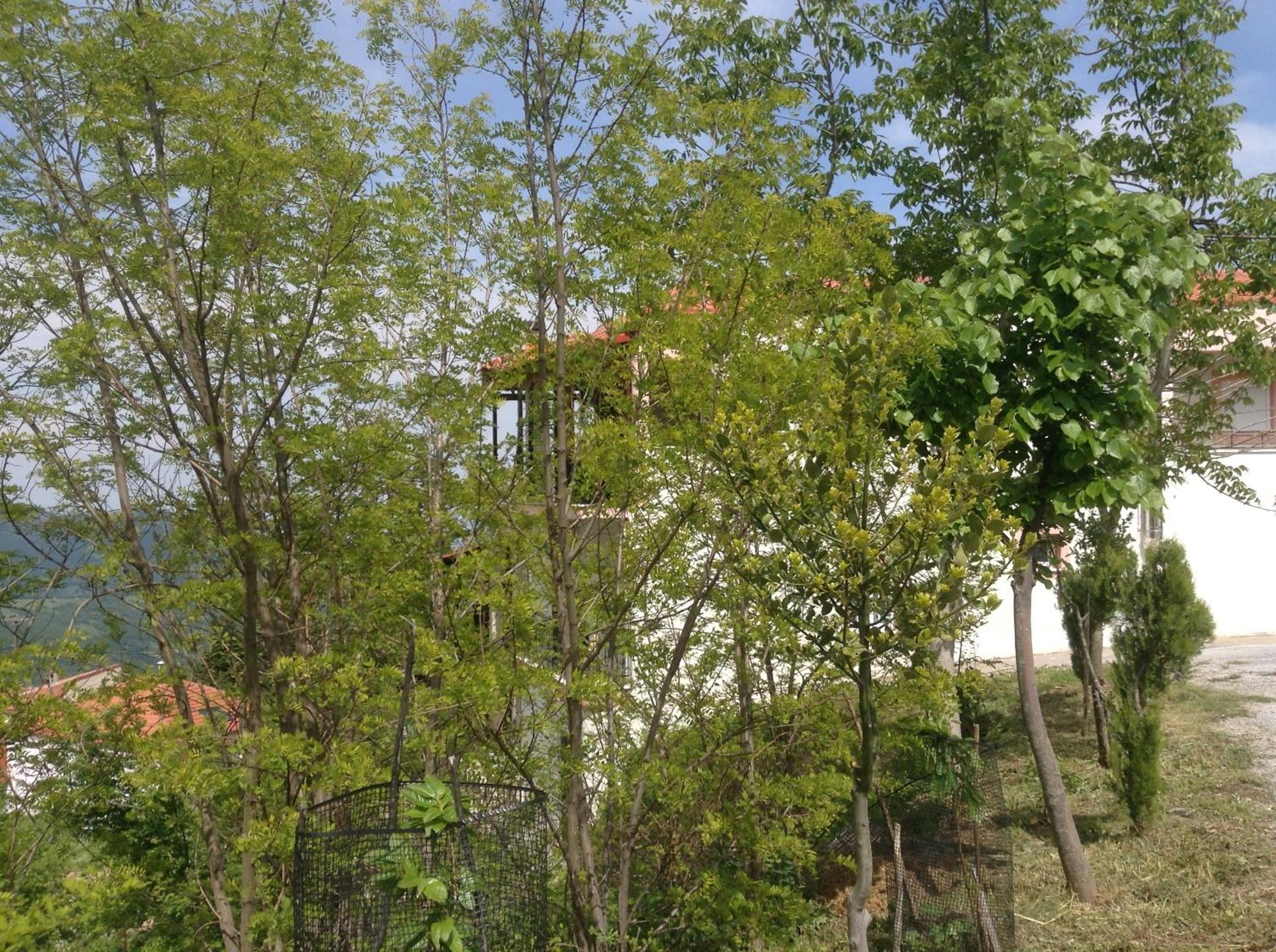 Πανδοχείο Λίμνης Πλαστήρα Hotel Kastania  Exterior photo